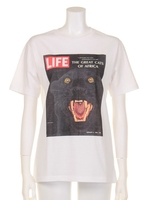 【ROSE BUD】LIFE MAGAZINE C/N -GREAT CATS-/OFF WHITE