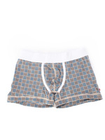 LINE CHECK BOXER/グレー系(114)