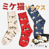 ミケネコソックス