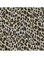 leopard jacket/yellow