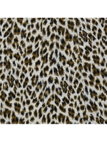 leopard jacket/yellow
