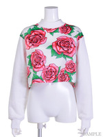 Brush Rose Cropped Crew