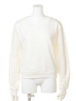 【M】シースルードッキングWAVETOPS