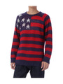 星条旗デザインニットプルオーバー/レッド系(362)