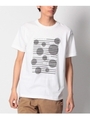千鳥ドットボーダーTシャツ/ホワイト(001)
