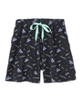 SUNNY DAY FLAIR SHORTS/ブルー