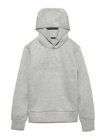 【THE NORTH FACE】TECH AIR SWEAT HD/GRY