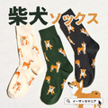 柴犬ソックス