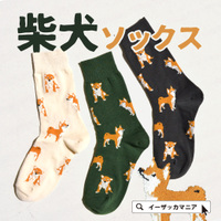 柴犬ソックス