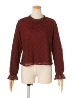 【an another angelus】チュールレースプルオーバーブラウス/BROWN