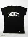 SSTEE COLLEGE LOGO MICKEY 