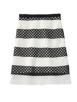 レースボーダースカート/ブラック(319)