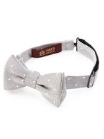 フォーマル蝶ネクタイ/ネイビー系(093)