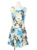 マルチリーフフレアOP/ORG