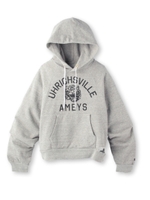 AMERICANA ダメージビッグパーカー/グレー(012)