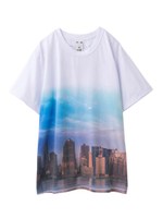 AMERICAN LANDSCAPE S/S BIG TEE/ホワイト