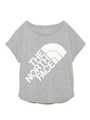 【THE NORTH FACE】S/S COLOR BIGLOGO/GRY