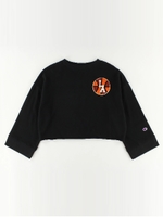 Champion サガラ&バックプルオーバー/杢グレー