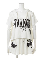 デビルセットアップ