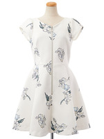 Oアニメーションフラワーワンピ