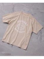 HARVARD Tシャツ/ネイビー