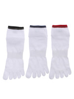 Champion|五本指ショートロゴソックス3P