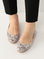 BBC ソフトスクエアフラット○/その他1