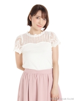 レースハイネック切替テレコPO/オフ