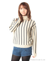 ストライプタートルPO