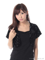 パーティードレス・フェイクファーノーカラーボレロ/クロ