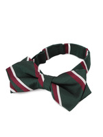 シルク蝶タイ/グリーン系(023)