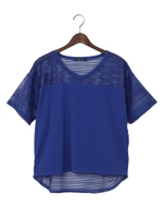 ヨークシアーボーダー/TOPS/クロ