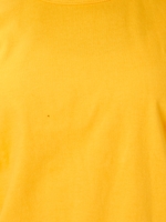 【Ca】ChampionショートルーズTシャツ/YLW