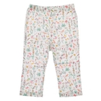 【LF】セオレギンス