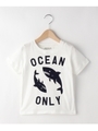 ARCH&LINE オーガニックコットンシャークTシャツ/ホワイト系(002)