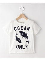 ARCH&LINE オーガニックコットンシャークTシャツ/ホワイト系(002)