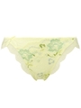 ジュエリング　ストレッチレースレギュラーショーツ 0036/レモン