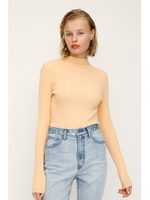 SOLID SHEER TURTLE HG トップス/L/ORG1