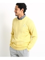 ケーブル編みクルーネックセーター/レモンイエロー(031)