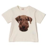【50%OFF】ドッグプリントTシャツ