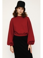 VOLUME SLEEVE SWEAT TOPS/D/RED3