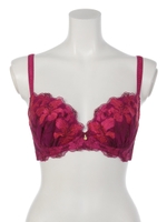 【Myfloral X-Reted】　ダズルブラ/ワイン