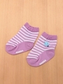 シースルーボーダーソックス/パープル