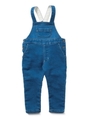 TAPERED OVERALL(2T)/インディゴ