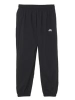 NIKE SB FLEX TRACK PANT 923962-010/ブラック