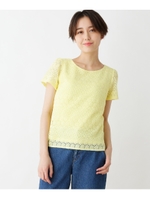 ◆【洗える】ボーダーレースブラウス/レモンイエロー(031)