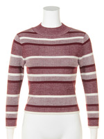 ボーダーハイネックトップス