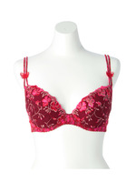 AUBADE(オーバドゥ)ブラジャー Dカップ Fleurs de P/レッド系(173)