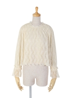 【an another angelus】総レースプリーツプルオーバーブラウス/BROWN