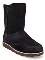 W Shanleigh/Chocolate